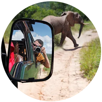 Fotograf podróżujący samochodem robi zdjęcie napotkanego słonia